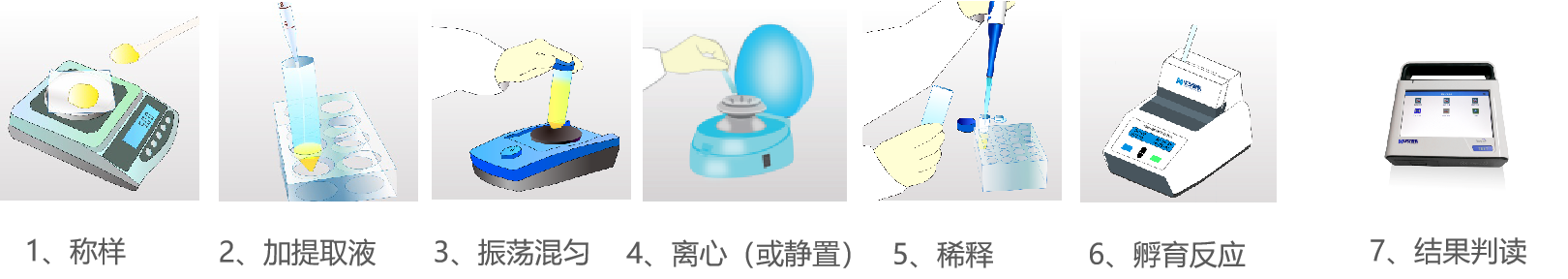 玉米赤霉烯酮快速定量检测试纸条