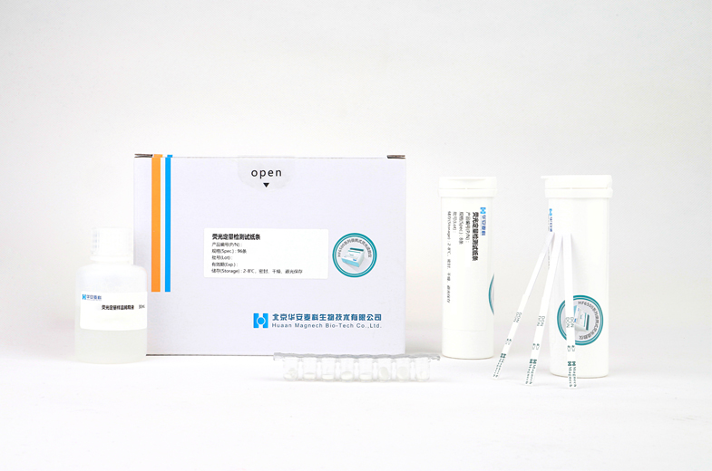 黄曲霉毒素B1荧光定量检测试纸条