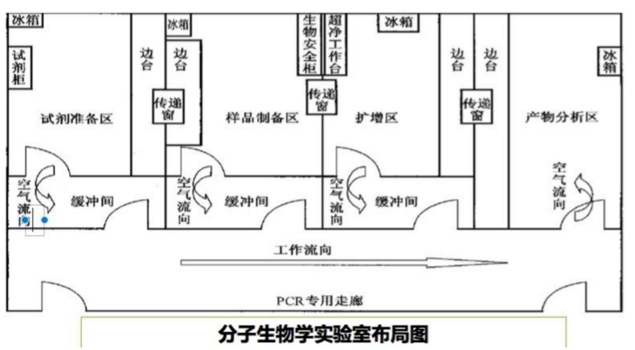 分子实验室布局图.png