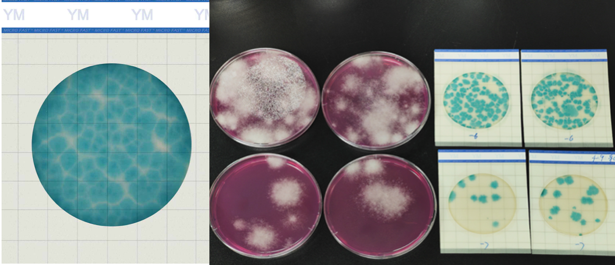 ceshipian.png ceshipian.png